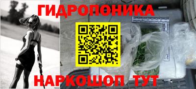 СК Кандалакша