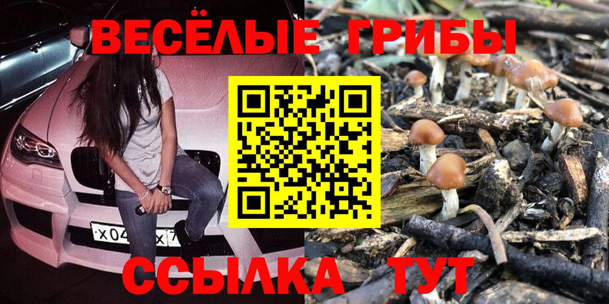Псилоцибиновые грибы мицелий  Вход с VPN  Барабинск 
